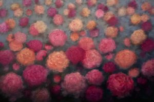 بينشيه الفاوانيا، 2025 (زيت على قماش) بواسطة لي كامبل