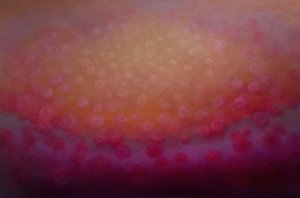 نشوة الطرب في روز، 2025 بواسطة لي كامبل