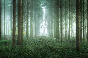 برامبل باث، 2023 (الصورة)