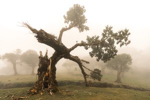  بواسطة 