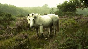 في الغلامينغ، 2023 (صورة) بواسطة 