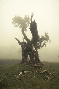  بواسطة 