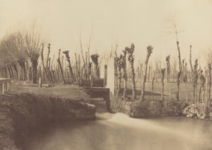 منظر طبيعي، مونتيبيلو، ج. 1860 (صورة فوتوغرافية) بواسطة ليون جيرار