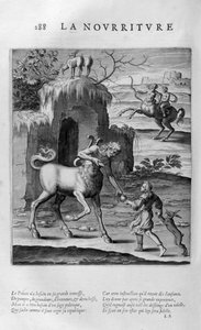 طعام، طعام، 1615. بواسطة ليونارد جوتييه