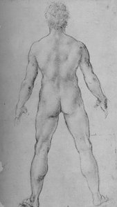 رجل عاري ينظر إليه من الخلف ، c1480 1945