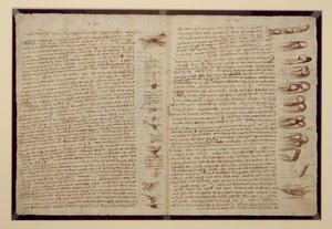 صفحة من Codex Leicester ، 1508-12 (حبر بني داكن على ورق الكتان) بواسطة ليوناردو دا فينشي