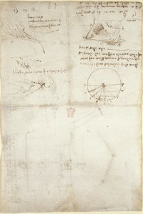 Arundel 263، f.126v ثلاث ملاحظات ورسومات على الماء ؛ رسم تخطيطي لتحليق الطيور ، حوالي 1500 - 5 (قلم وحبر على ورق) بواسطة ليوناردو دا فينشي