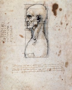 Bust of a man in profile with measurements and notes (sepia ink on linen paper) بواسطة ليوناردو دا فينشي