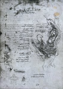 Co Co of Hemisected رجل وامرأة ، نسخة طبق الأصل بواسطة ليوناردو دا فينشي