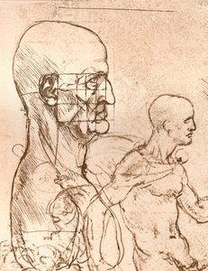 رسم يوضح نظرية نسب الشكل البشري ، c1472-c1519 1883 بواسطة ليوناردو دا فينشي