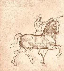 رسم حصان مشي ، c1472-c1519 1883 بواسطة ليوناردو دا فينشي