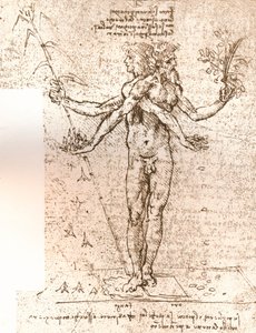 رسم لتكوين استعاري ، c1472-c1519 1883 بواسطة ليوناردو دا فينشي