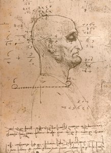 رسم رأس مجرم ، c1472-c1519 1883 بواسطة ليوناردو دا فينشي