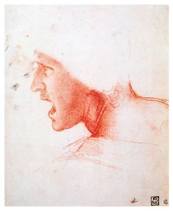 رأس رجل يصرخ في ملفه على اليسار ، 1503-1504 بواسطة ليوناردو دا فينشي