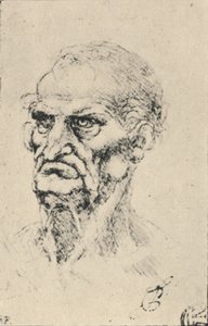 رأس رجل يبلغ من العمر ثلاثة أرباع إلى اليسار ، c1480 1945 بواسطة ليوناردو دا فينشي