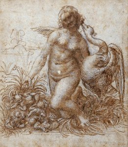 Leda and the swan (pen & brown ink over black chalk on paper) بواسطة ليوناردو دا فينشي