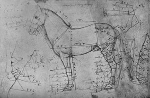 رسم مقيس لحصان في بروفايل إلى اليسار ، c1480 1945 بواسطة ليوناردو دا فينشي