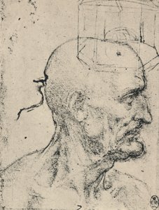 الملف الشخصي إلى يمين رجل أصلع ، c1480 1945 بواسطة ليوناردو دا فينشي