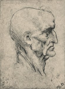 الملف الشخصي إلى يمين رجل أصلع مسن ، c1480 1945 بواسطة ليوناردو دا فينشي