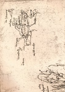 خريطة مبدئية لأرمينيا ، c1472-c1519 1883 بواسطة ليوناردو دا فينشي