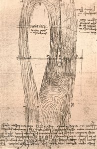 خريطة مبدئية للوار في أمبواز ، فرنسا ، c1472-c1519 1883 بواسطة ليوناردو دا فينشي