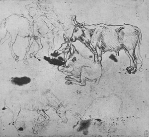 دراسات الحمير والثور ، c1480 1945 بواسطة ليوناردو دا فينشي