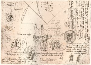 دراسات الشارات c1472-c1519 1883 بواسطة ليوناردو دا فينشي