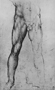دراسة النصف السفلي لرجل عاري يواجه الجبهة ، c1480 1945