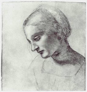 رأس مادونا ، c1484-1486 بواسطة Leonardo da Vinci