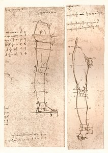 رسمان يوضحان نظرية نسب الشكل البشري ، c1472-c1519 1883 بواسطة ليوناردو دا فينشي