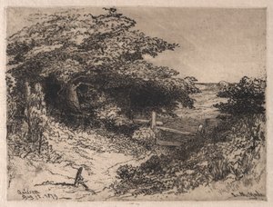 Quissett ، مقاطعة بارنستابل ، ماساتشوستس ، 1879. بواسطة ليروي ميلتون ييل