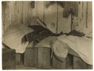 دي ماركو كوخ لقطاف التوت البري في Forsythe&39;s Bog ، Turkeytown ، بالقرب من بيمبرتون ، نيو جيرسي ، 1910 بواسطة لويس ويكس هاين