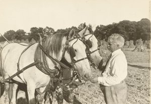 بدون عنوان ، كاليفورنيا. 1935. بواسطة لويس ويكس هاين