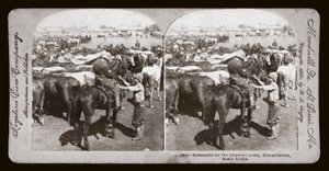 Guerre des Boers (Afrique du Sud بواسطة غير معروف غير معروف