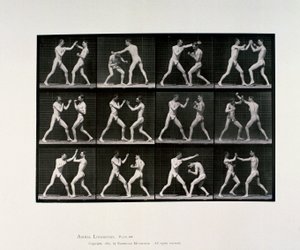 Nude male athletes boxing, c 1872-1885 بواسطة غير معروف غير معروف