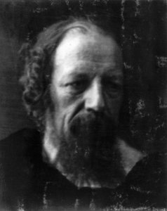 Portrait of the poet Alfred Lord Tennyson بواسطة غير معروف غير معروف