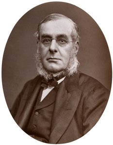 الأدميرال السير ريتشارد كولينسون ، KCB ، FRGS ، نائب رئيس ترينيتي هاوس ، 1877. بواسطة لوك ويتفيلد