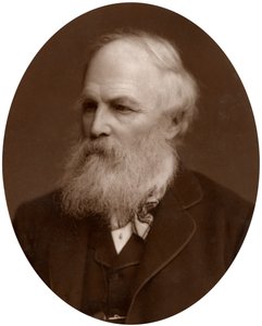 Lumb Stocks ، RA ، حفارة البريطانية ، 1883. بواسطة لوك ويتفيلد