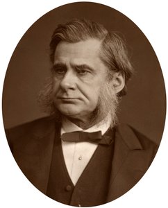 البروفيسور توماس هنري هكسلي ، 1880. بواسطة لوك ويتفيلد