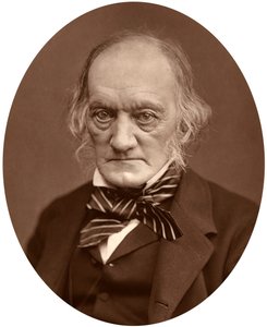 ريتشارد أوين ، 1878. بواسطة لوك ويتفيلد