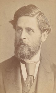 [لودفيج جوهان باسيني] ، بعد عام 1867.