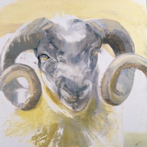Long Horn Sheep (وسائط مختلطة على لوحة جيسو)
