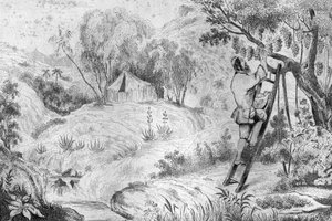 كان لدي أكثر من مائتي مجموعة ... نقش بعد رسم M. de Sainson لكتاب Daniel Defoe (De foe) "Robinson Crusoe" "الطبعة الفرنسية لعام 1837.