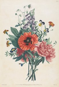 مجموعة من الزهور والفواكه المرسومة بعد الطبيعة: باقة Foxglove ، ياسمين ... ، 1805.
