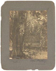 استوديوهات تيفاني ، 1898-1920 (صورة ب / ث) بواسطة لويس كومفورت تيفاني