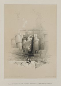 مصر والنوبة ، المجلد الثاني: جزء من قاعة الأعمدة بالكرنك ، طيبة ، 1847. بواسطة لويس هاجي