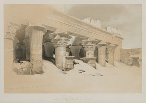 مصر والنوبة المجلد الأول: رواق معبد إدفو ، صعيد مصر ، 1846. بواسطة لويس هاجي