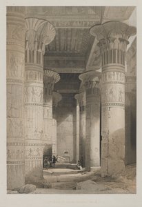 مصر والنوبة ، المجلد الأول: منظر تحت الرواق الكبير للمعبد ، فيلة ، 1846. بواسطة لويس هاجي