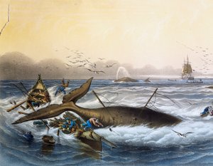 صيد الحيتان في البحار الجنوبية ، الطباعة الحجرية الملونة بواسطة لويس ليبرتون (توفي عام 1866)
