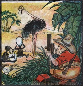 نيستور فينليروك، القولون الأوروبي يصور نعامة في أفريقيا. 1923 (نقش)